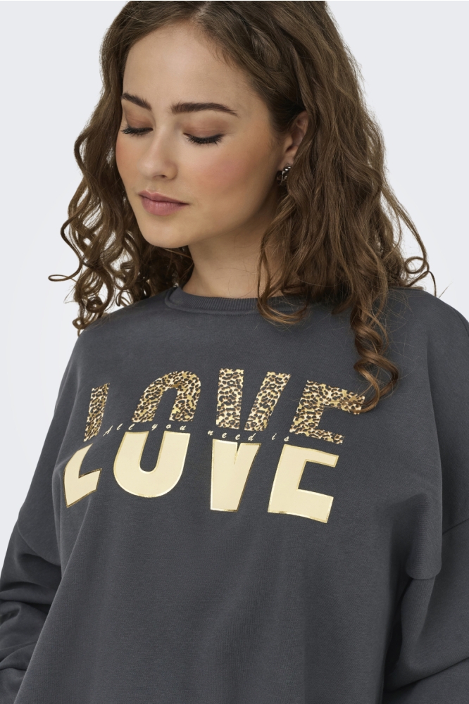 ONLTAMMIE L/S LEO PRINT O-NECK SWT 15356179 PHANTOM/LOVE